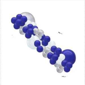 Organic Balloon Arch